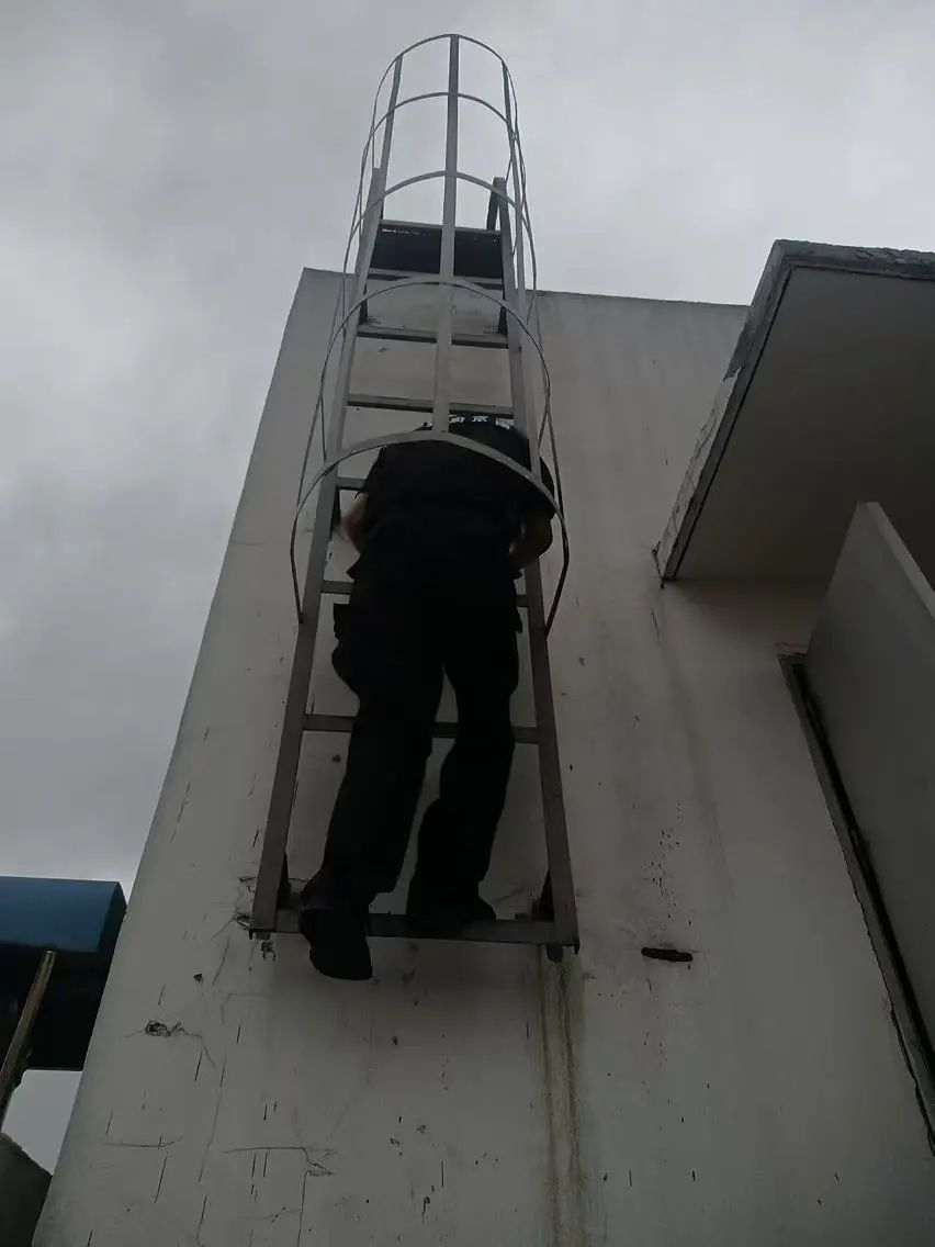 C:/Users/BA/Desktop/風(fēng)雨過后南京保安迅速行動(dòng)，恢復(fù)安“寧”面貌/3.jpg3