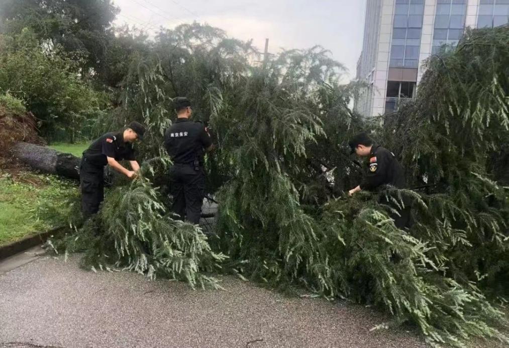C:/Users/BA/Desktop/風(fēng)雨過后南京保安迅速行動(dòng)，恢復(fù)安“寧”面貌/1.jpg1
